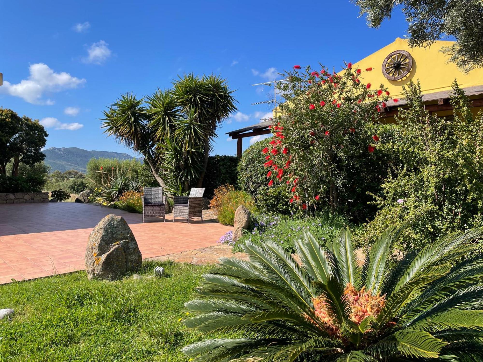 Agriturismo Campesi Casale Tra Le Vigne Aglientu Εξωτερικό φωτογραφία