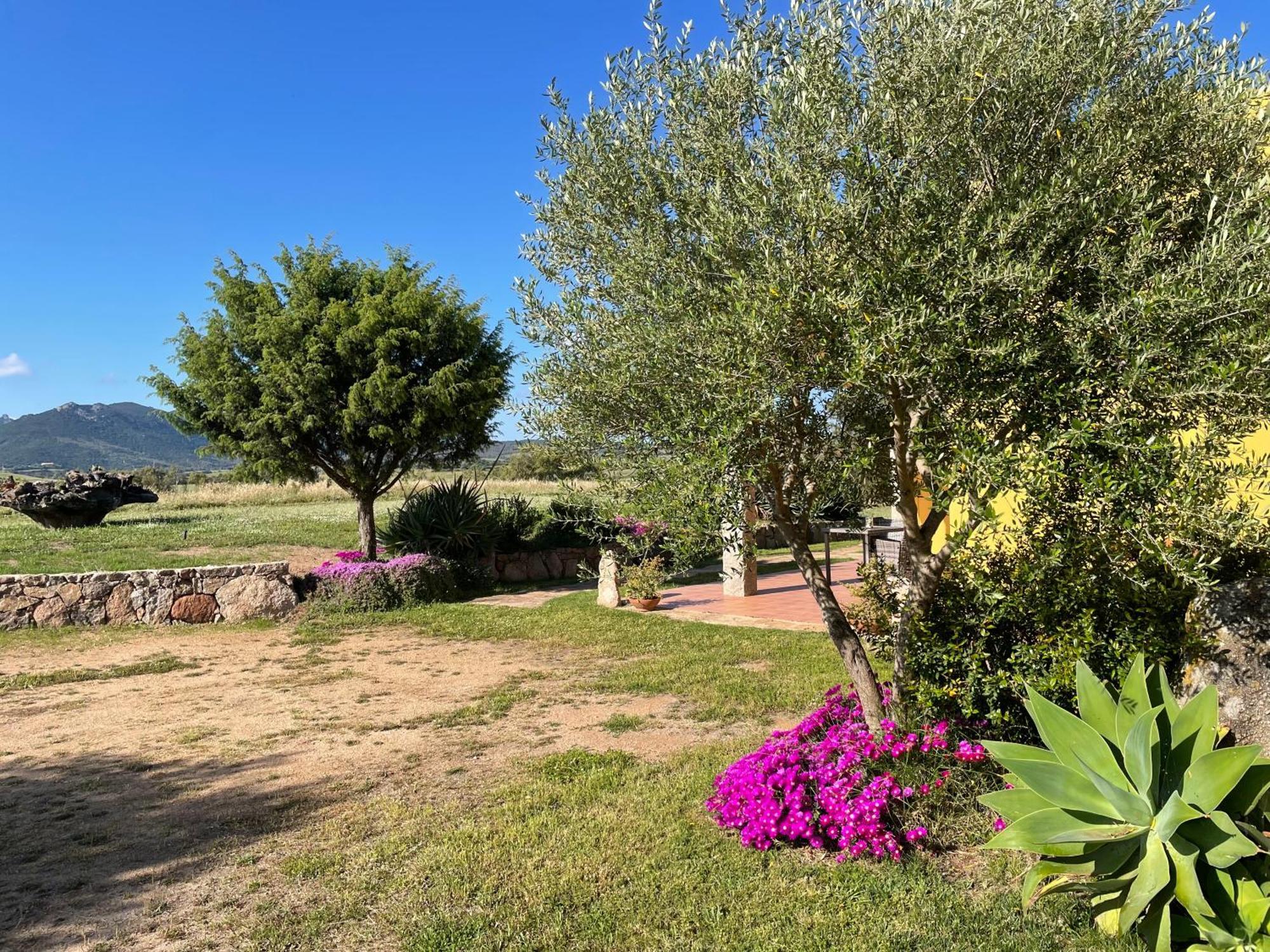 Agriturismo Campesi Casale Tra Le Vigne Aglientu Εξωτερικό φωτογραφία