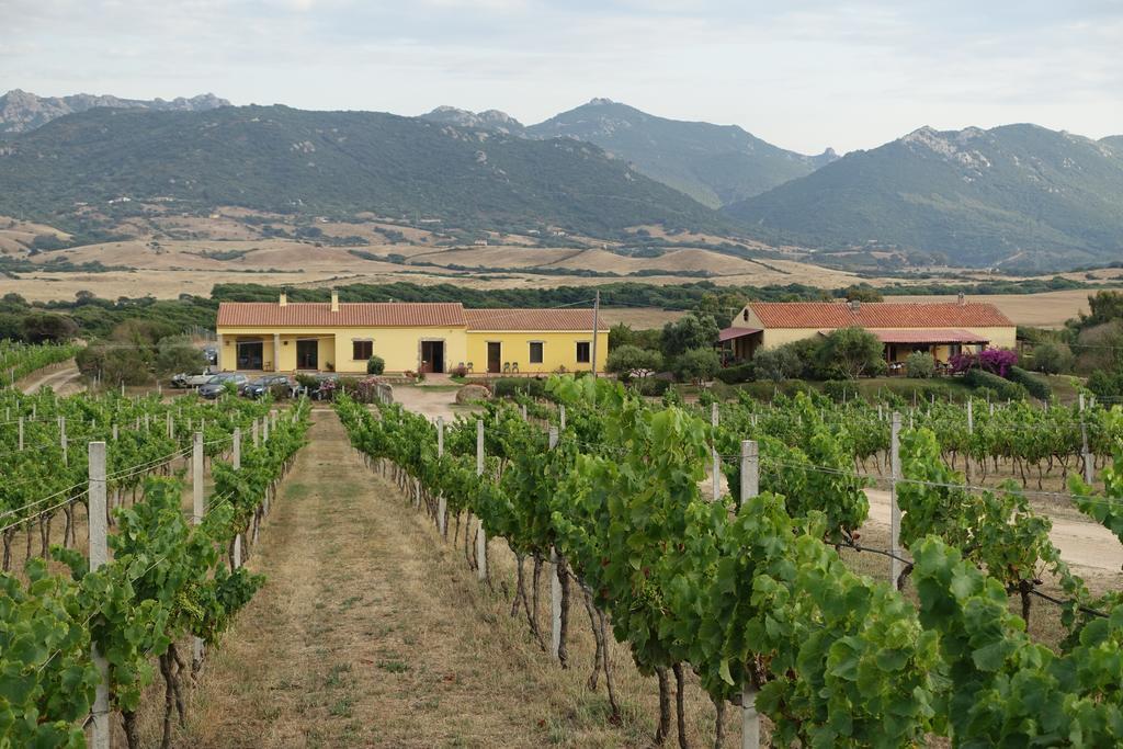 Agriturismo Campesi Casale Tra Le Vigne Aglientu Εξωτερικό φωτογραφία