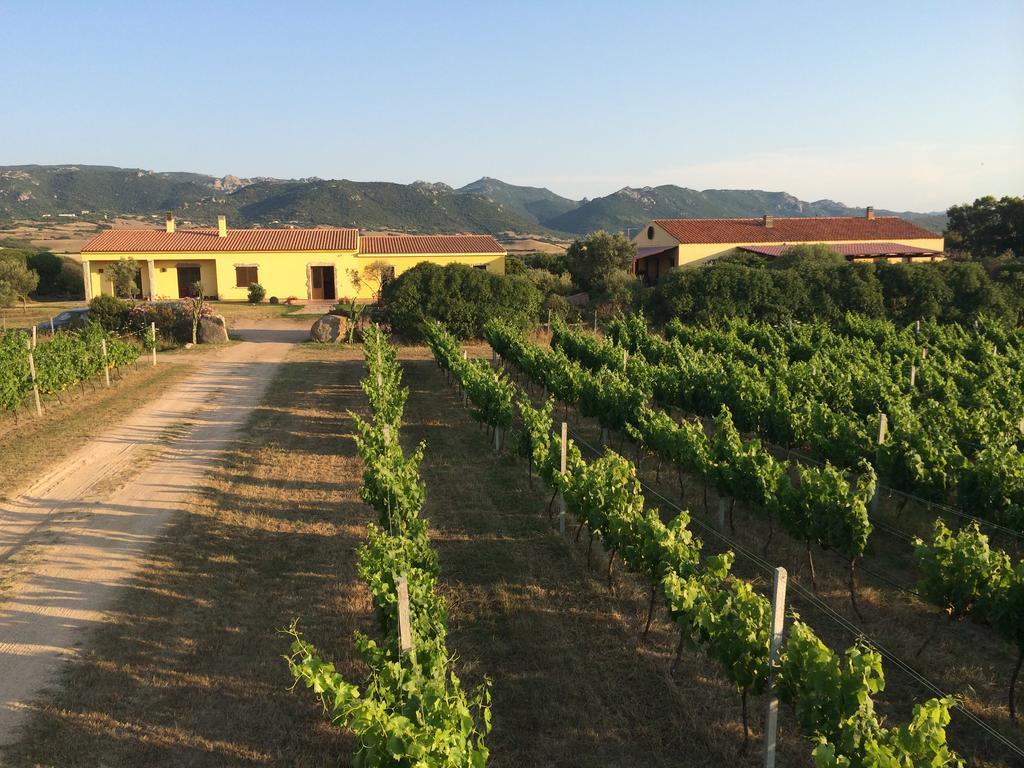 Agriturismo Campesi Casale Tra Le Vigne Aglientu Εξωτερικό φωτογραφία