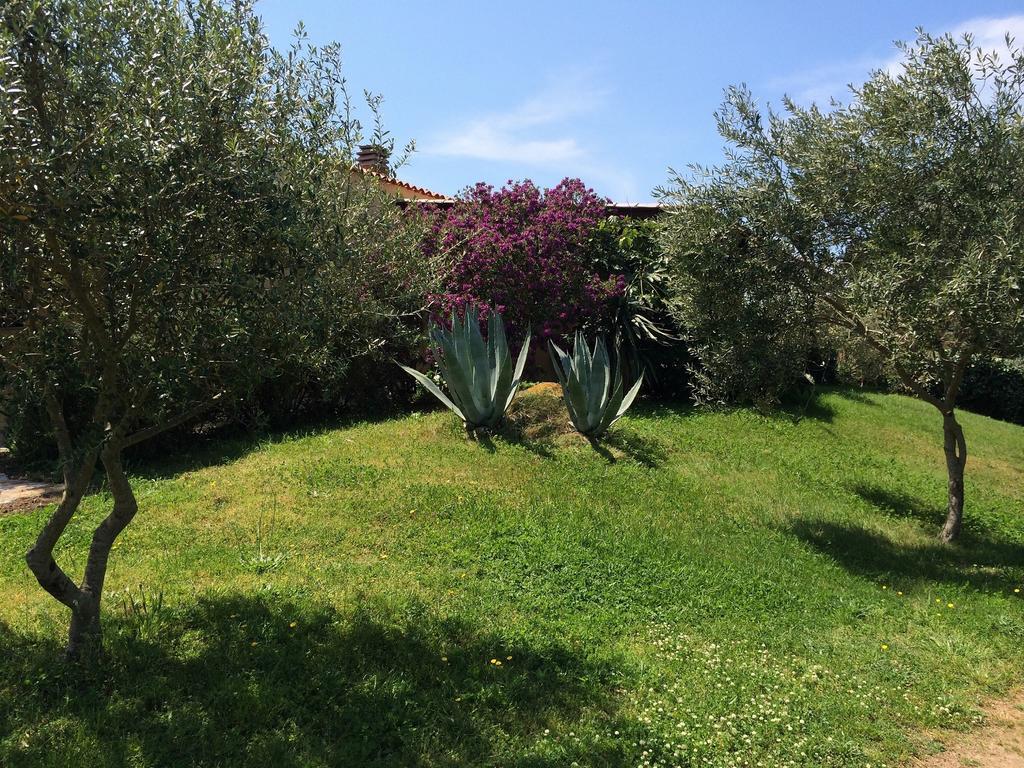 Agriturismo Campesi Casale Tra Le Vigne Aglientu Εξωτερικό φωτογραφία