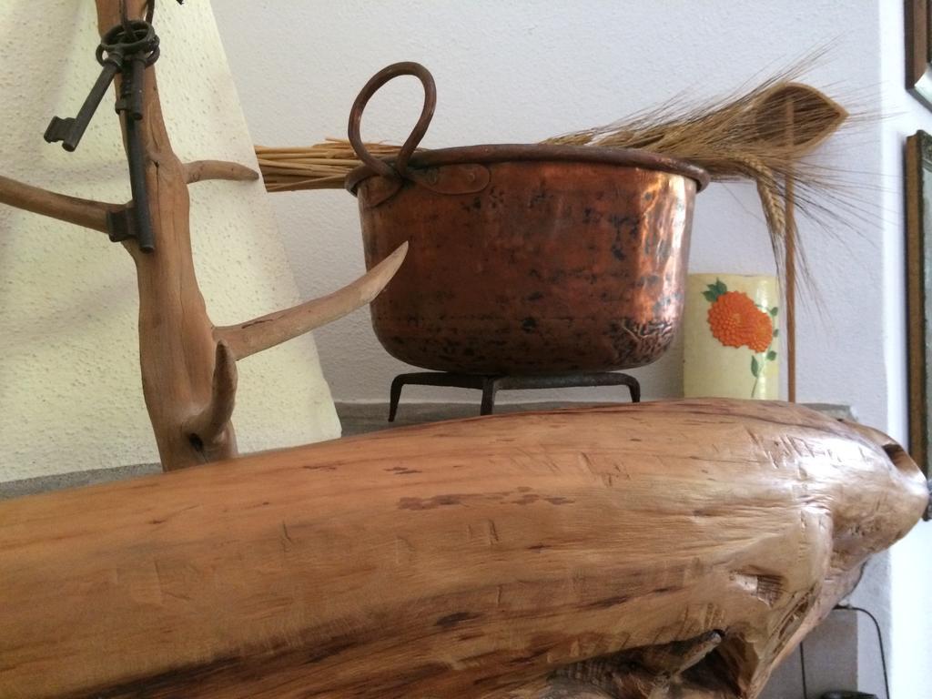 Agriturismo Campesi Casale Tra Le Vigne Aglientu Εξωτερικό φωτογραφία