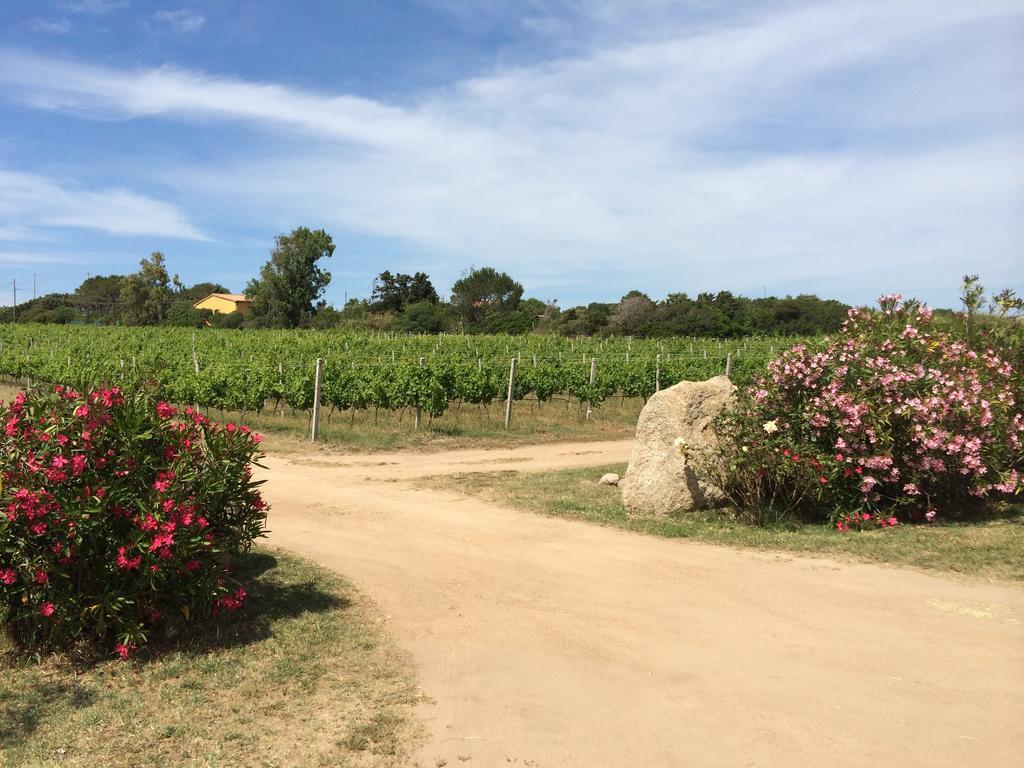 Agriturismo Campesi Casale Tra Le Vigne Aglientu Εξωτερικό φωτογραφία