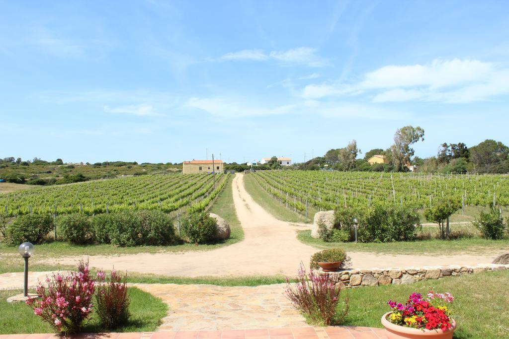 Agriturismo Campesi Casale Tra Le Vigne Aglientu Εξωτερικό φωτογραφία