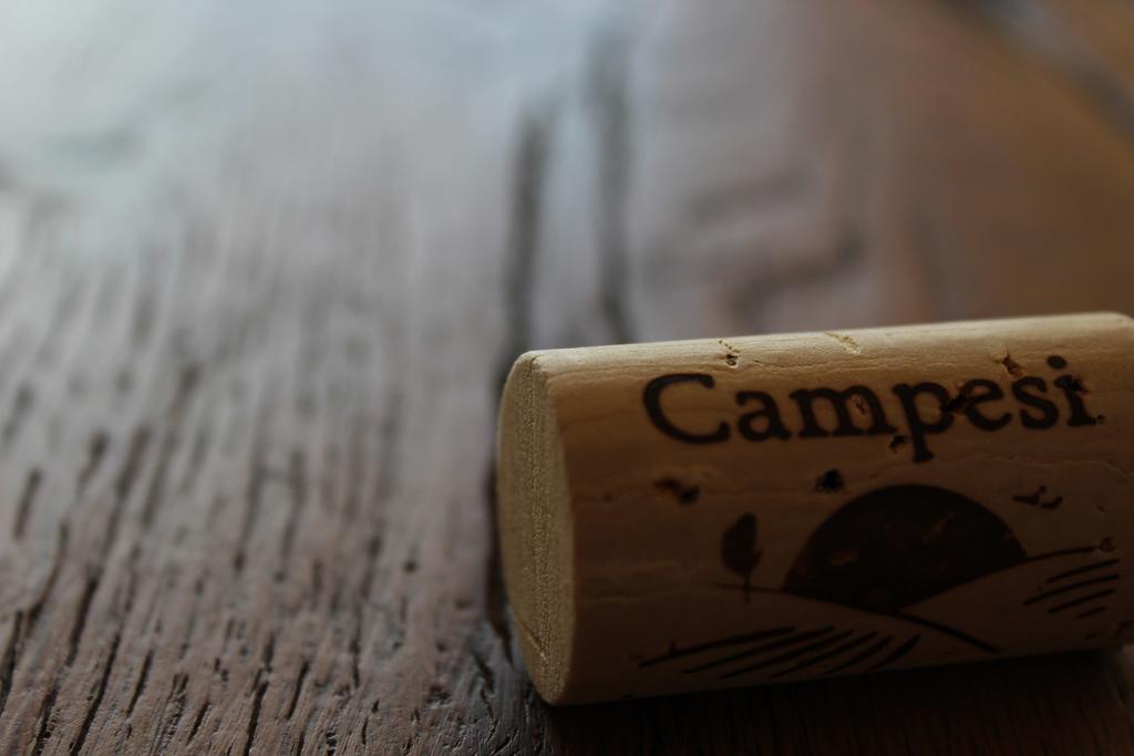 Agriturismo Campesi Casale Tra Le Vigne Aglientu Εξωτερικό φωτογραφία