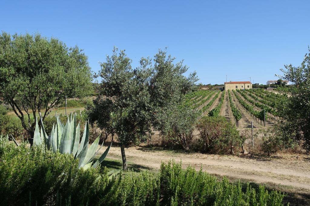 Agriturismo Campesi Casale Tra Le Vigne Aglientu Εξωτερικό φωτογραφία