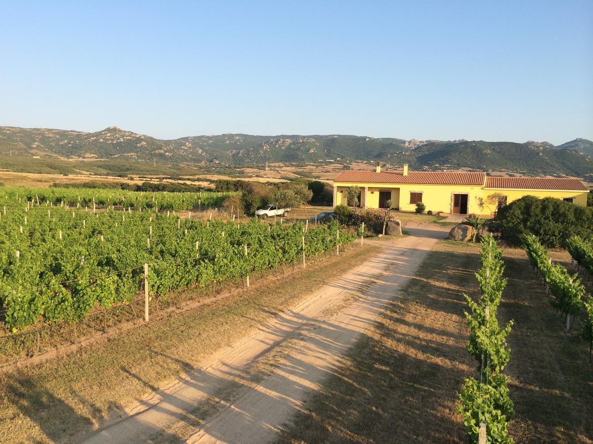 Agriturismo Campesi Casale Tra Le Vigne Aglientu Εξωτερικό φωτογραφία