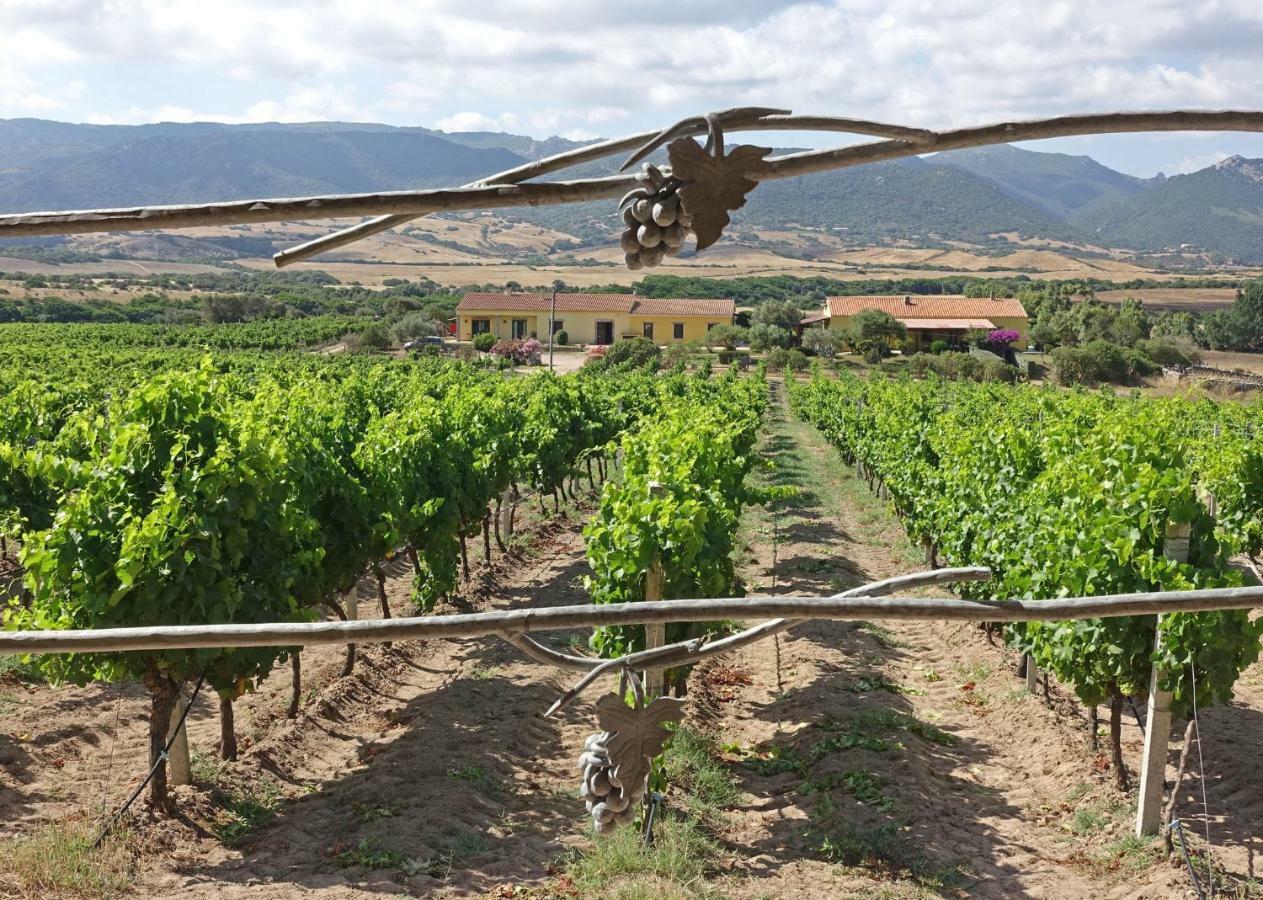 Agriturismo Campesi Casale Tra Le Vigne Aglientu Εξωτερικό φωτογραφία